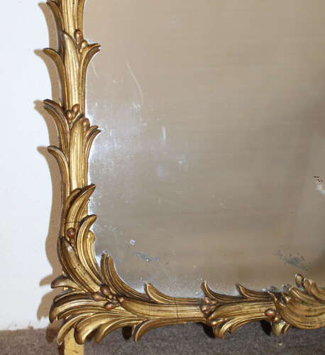 Antique French palm leaf framed gilt mirror